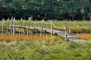 Bilde av Brooklyn Bridge